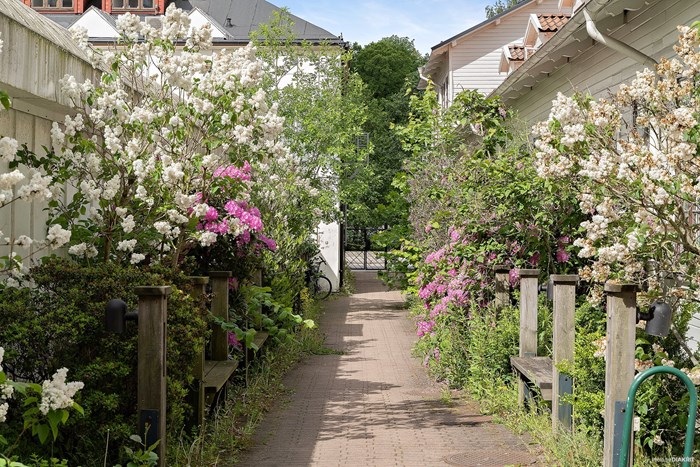 11949912_15-328-16_photo_web