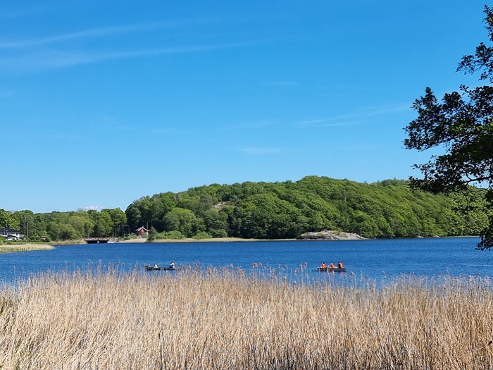 a42ce110-e68b-11ec-ac44-81f2d37152d6